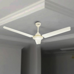 Ceiling Fans Starts @999
